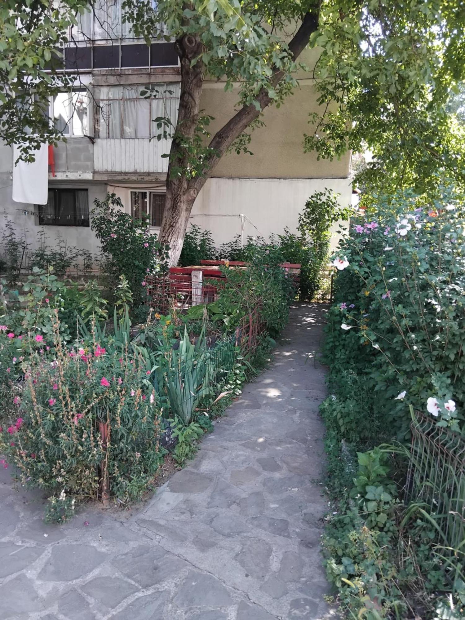Apartament Rusu 네호이우 외부 사진